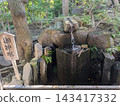 Suikeien Garden, Shibamata Taishakuten Garden 143417332