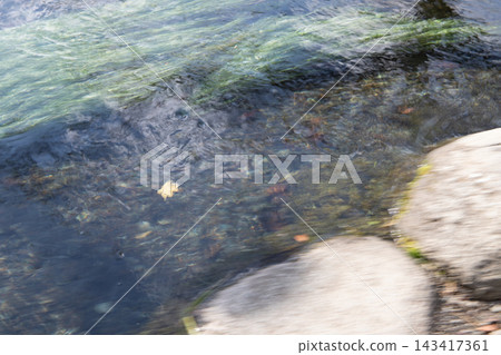 落葉飄浮在清澈的溪水中 落葉飄浮在清澈的溪水中 143417361