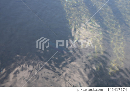 太陽反射在水面上 太陽反射在水面上 143417374