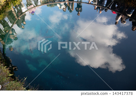 從空中俯瞰碧綠的海 從空中俯瞰碧綠的海 143417378