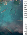 Blue sea and fish 143417394
