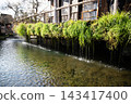 A river flowing into the Shirakawa spring 143417400