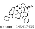 簡單插圖，線條畫插圖，葡萄。 143417435