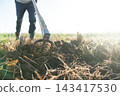 Tilling the field with a hoe 143417530