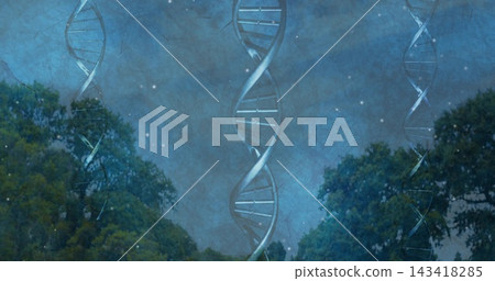 Emerging overlay animating central DNA helix above trees under starry sky, linking nature science Emerging overlay animating central DNA helix above trees under starry sky, linking nature science 143418285