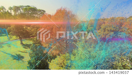 Showing central deciduous tree with orange leaves in public park, with lens flare and overlays 143419037