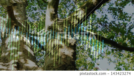 Standing tree trunk reaching into canopy in park, with branches, green-blue-yellow overlay 143423274