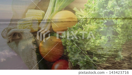 Displaying centered cluster lettuce, oranges, tomatoes, corn and scallion on burlap with shoreline Displaying centered cluster lettuce, oranges, tomatoes, corn and scallion on burlap with shoreline 143423716
