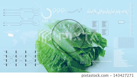 Displaying romaine lettuce head centered in lab, showing circular scan overlay and line graphs 143427271
