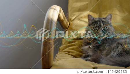 Reclining green tabby cat on mustard cushion by wood armrest at home waveform overlay, copy space Reclining green tabby cat on mustard cushion by wood armrest at home waveform overlay, copy space 143429283