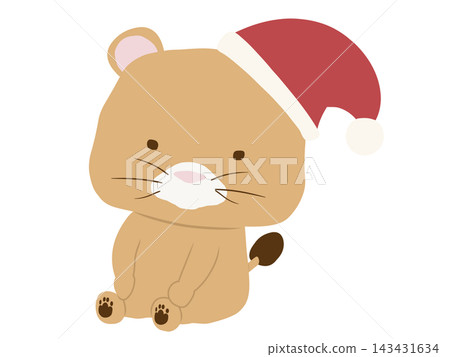 一隻戴著聖誕帽的雌獅 一隻戴著聖誕帽的雌獅 143431634