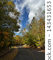 An autumn walking path surrounded by colorful trees and a blue sky 143431653