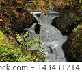 Autumn foliage and the turbulent stream at Sankai Falls in Date City, Hokkaido 143431714