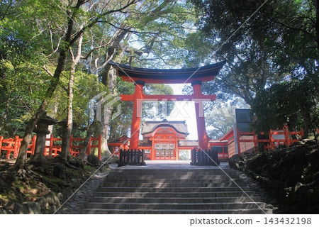 Usa Shinto Torii 143432198