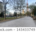 A view of Sapporo's Odori Park and Sapporo TV Tower. 143433749