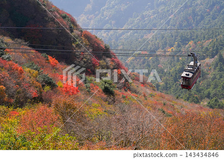 雲仙新田峠 雲仙新田峠 143434846