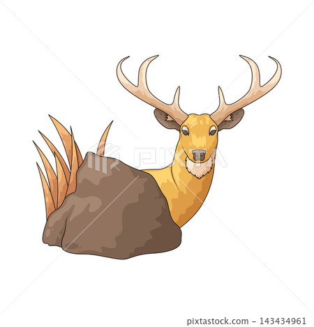 Illustration of Deer Illustration of Deer 143434961
