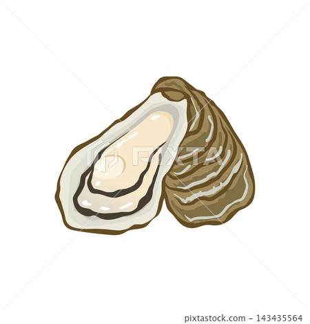 新鮮牡蠣的插圖 新鮮牡蠣的插圖 143435564