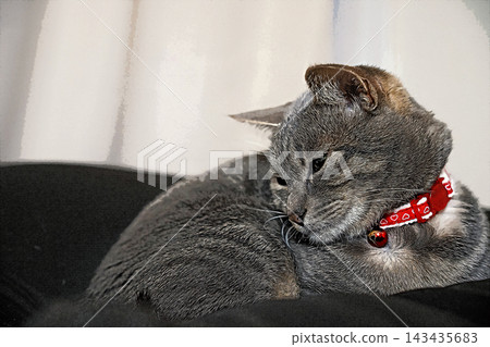 sketch style cat cat cat kijitora gray female female female cat female cat healthy pretty healing sketch style cat cat cat kijitora gray female female female cat female cat healthy pretty healing 143435683