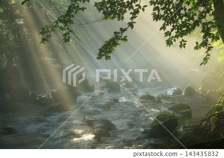 陽光傾瀉入小神澤溪流,映襯著栃木縣的山澗溪景。 陽光傾瀉入小神澤溪流,映襯著栃木縣的山澗溪景。 143435832