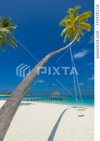 Lone coconut palm leaning powdery white shore vivid turquoise lagoon blue sky tropical island vertical. Scenic travel wanderlust vista. Exotic explore dream destination Lone coconut palm leaning powdery white shore vivid turquoise lagoon blue sky tropical island vertical. Scenic travel wanderlust vista. Exotic explore dream destination 143436218