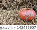 A large orange pumpkin on straw, an autumn harvest scene with a festive Halloween or Thanksgiving atmosphere. Copy space. 143436907