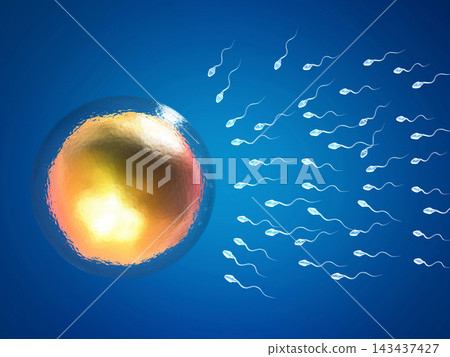 Eggs choose sperm, fertilization Eggs choose sperm, fertilization 143437427