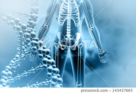 Human body anatomy with dna molecules strand Human body anatomy with dna molecules strand 143437665