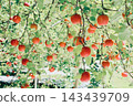 Apple that is turned into a tree 143439709