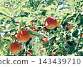 Apple that is turned into a tree 143439710