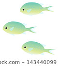 一幅描繪三條可愛的熱帶魚——雀鯛——在水中游動的插圖。 143440099