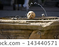 Shakespeare Castle Skull Decoration on Stone Fountain with Water Arc to be or not to be 143440571