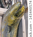 A Close Up Portrait of a Mahi Mahi Dorado Fish dolphinfish at the market 143440574