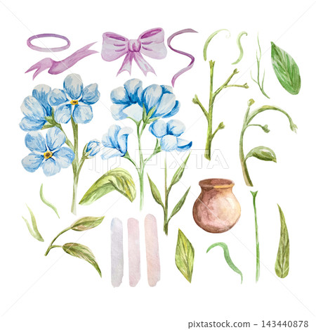 Blue and pink forget-me-nots, myosotis, scorpion grass, hand painted with watercolors and isolated on white background. Suitable for postcards, invitations, wedding, prints and packaging 143440878