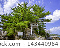箱島神社（福岡縣糸島市）：相親的聖地。 143440984