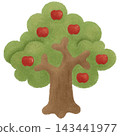 Red apple  143441977