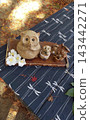 Autumn-themed Japanese interior decor and a ceramic raccoon dog figurine 143442271