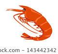 Illustration of boiled shrimp 143442342
