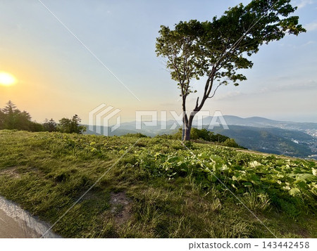 從山頂看到的風景 從山頂看到的風景 143442458