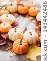 Close-Up of Mini Pumpkins and Autumn Leaves 143442486