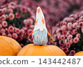 Pumpkin harvest with autumn gnome decoration and flowers 143442487