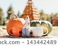 Cozy Autumn Harvest Still Life with Pumpkins, Gnome and Warm Coffee Cups 143442489
