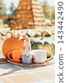 Cozy Autumn Harvest Still Life with Pumpkins, Gnome and Warm Coffee Cups 143442490