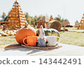 Autumn Pumpkin and Gnome with Cozy Mugs at Outdoor Harvest Market 143442491