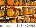 Fall Festival Pumpkin Display with Seasonal Squash 143442492