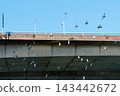 Flock of pigeons flying against clear blue sky beside a concrete overpass 143442672