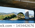 Flock of pigeons flying over a riverbank beneath a concrete highway bridge 143442676