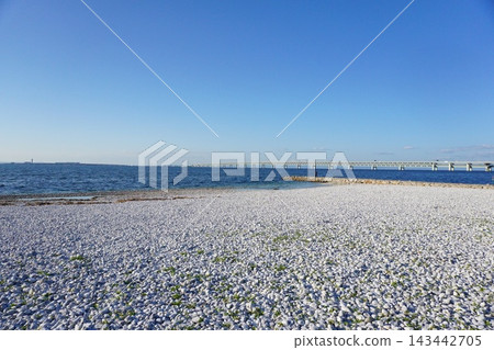 Rinku Marble Beach Rinku Marble Beach 143442705