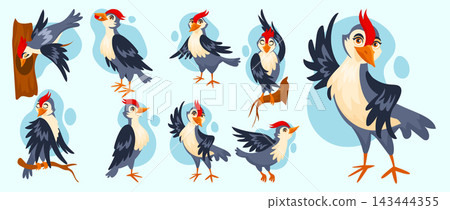 Woodpecker characters. Birds with beaks and feathers, forest trees, branches spring, wildlife flying animals, funny cute nature baby mascots pecking. Vector cartoon flat style isolated illustration Woodpecker characters. Birds with beaks and feathers, forest trees, branches spring, wildlife flying animals, funny cute nature baby mascots pecking. Vector cartoon flat style isolated illustration 143444355