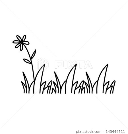 outline flower and grass illustration doodle outline flower and grass illustration doodle 143444511
